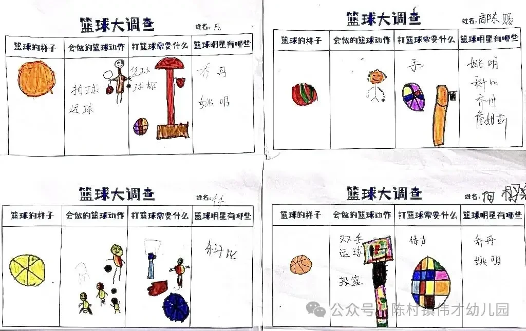 如何制定个性化的篮球辅导计划